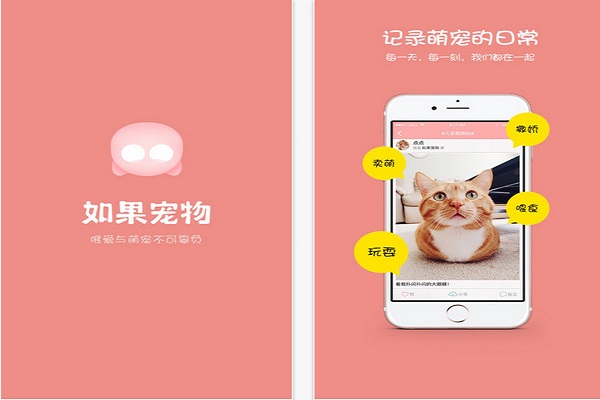 寵物APP開發 寵物APP開發