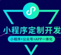 北京小程序開發公司服務